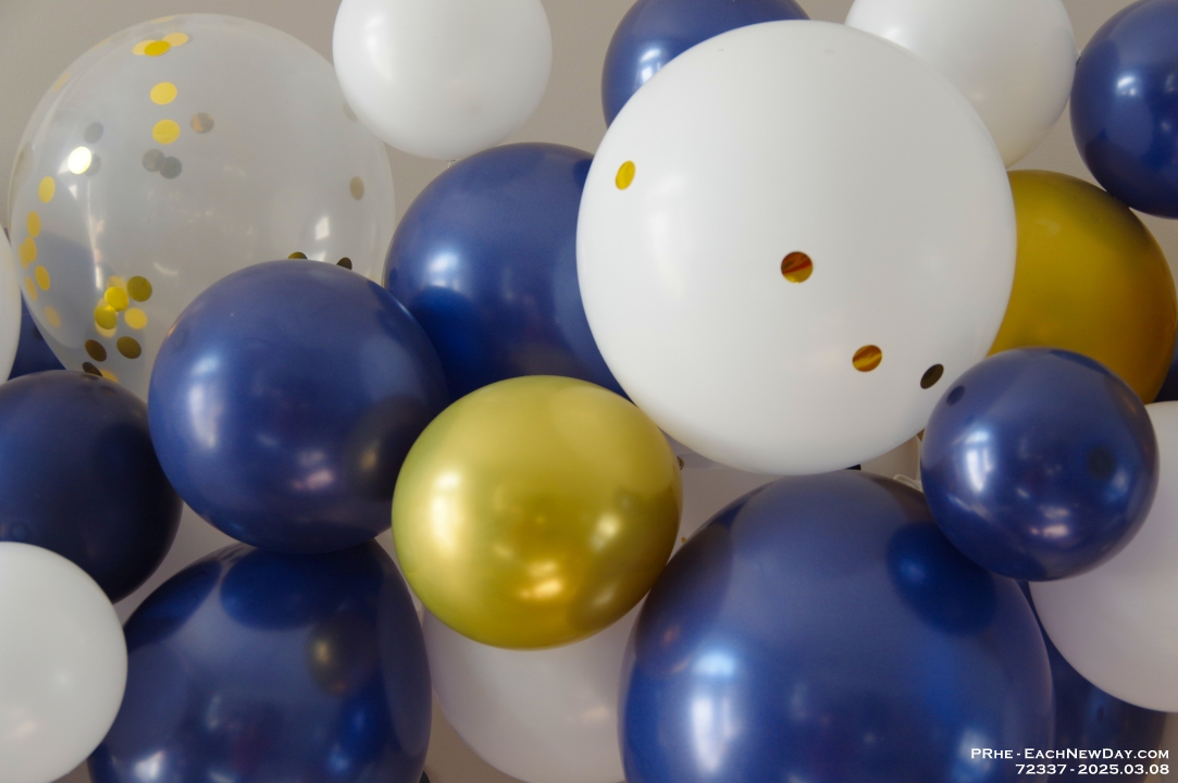 72337CrLe - Wedding Shower for Andy - Megan